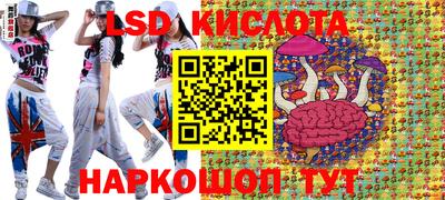 PSILOCYBIN Сланцы
