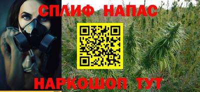 трава Славянск-на-Кубани