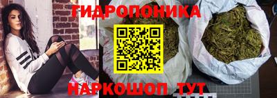 PSILOCYBIN Сланцы
