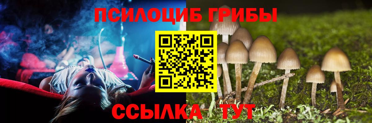 КОКАИН  ГАШ  Бошки Шишки  Малоярославец  МЕФ   Вход с VPN 