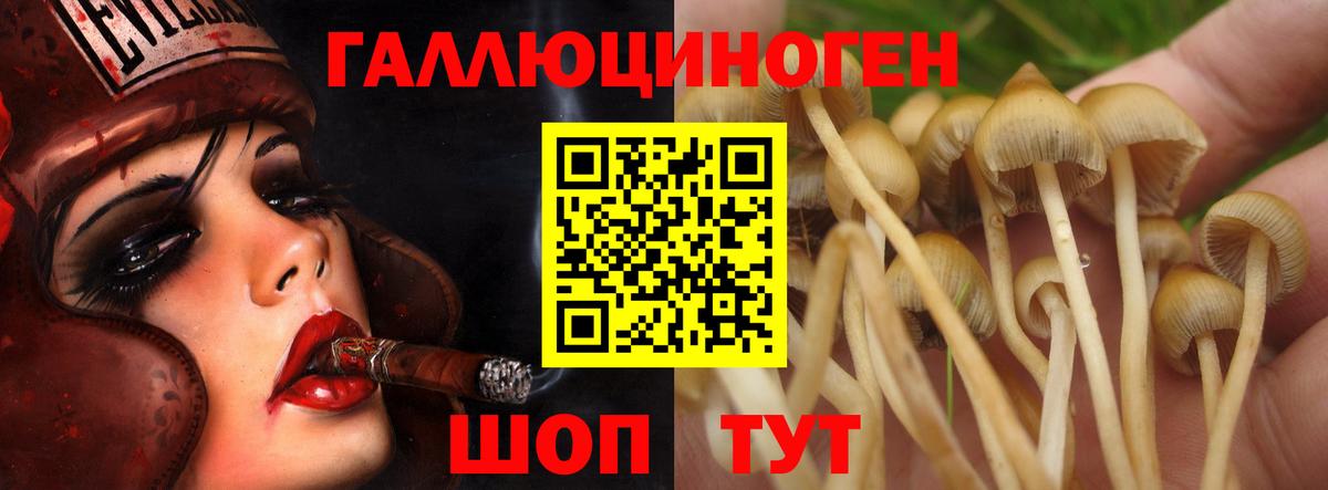 Меф Малоярославец